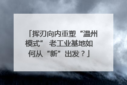 挥刃向内重塑“温州模式” 老工业基地如何从“新”出发？