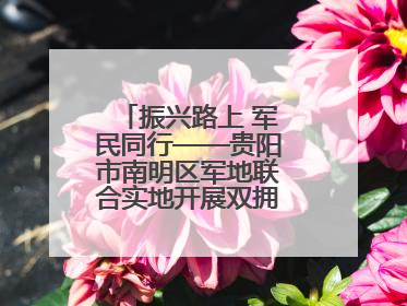 振兴路上 军民同行——贵阳市南明区军地联合实地开展双拥工作调研活动