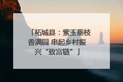 柘城县：紫玉垂枝香满园 串起乡村振兴“致富链”
