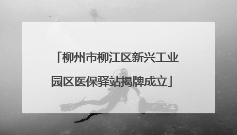 柳州市柳江区新兴工业园区医保驿站揭牌成立