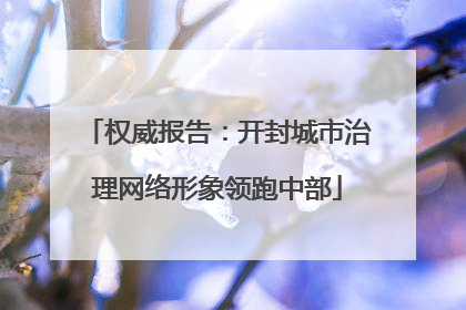权威报告：开封城市治理网络形象领跑中部