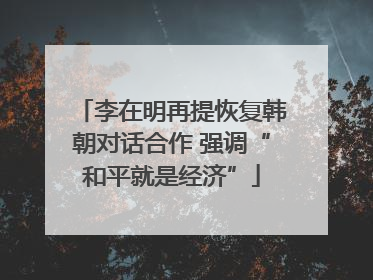 李在明再提恢复韩朝对话合作 强调“和平就是经济”