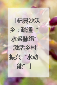 杞县沙沃乡：疏通“水系脉络” 激活乡村振兴“水动能”