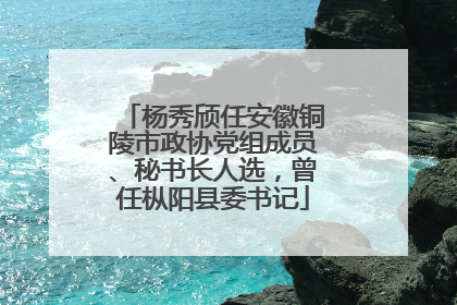 杨秀颀任安徽铜陵市政协党组成员、秘书长人选，曾任枞阳县委书记