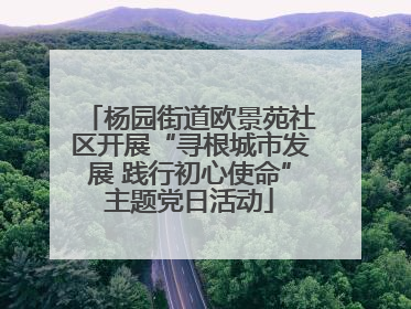 杨园街道欧景苑社区开展“寻根城市发展 践行初心使命”主题党日活动