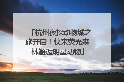 杭州夜探动物城之旅开启！快来荧光森林邂逅明星动物