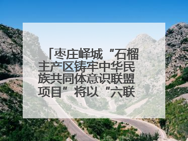 枣庄峄城“石榴主产区铸牢中华民族共同体意识联盟项目”将以“六联”活动为抓手深化品牌建设