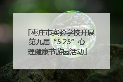 枣庄市实验学校开展第九届“5·25”心理健康节游园活动