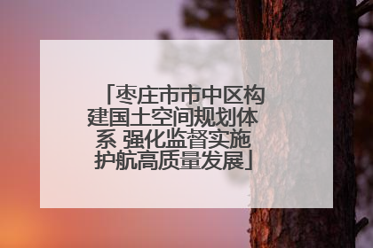 枣庄市市中区构建国土空间规划体系 强化监督实施护航高质量发展