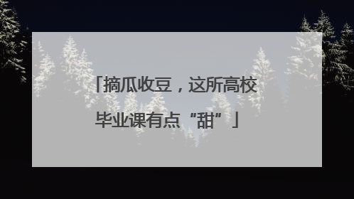 摘瓜收豆，这所高校毕业课有点“甜”