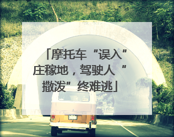 摩托车“误入”庄稼地，驾驶人“撒泼”终难逃