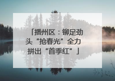 播州区：铆足劲头“抢春光”全力拼出“首季红”