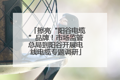 擦亮“阳谷电缆”品牌！市场监管总局到阳谷开展电线电缆专题调研