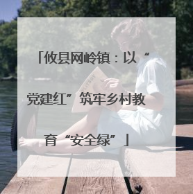 攸县网岭镇：以“党建红”筑牢乡村教育“安全绿”