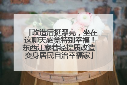 改造后挺漂亮，坐在这聊天感觉特别幸福！东西江家巷经提质改造变身居民自治幸福家