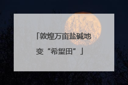 敦煌万亩盐碱地变“希望田”