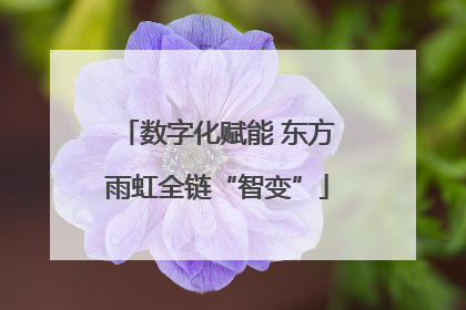 数字化赋能 东方雨虹全链“智变”