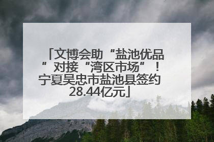 文博会助“盐池优品”对接“湾区市场”！宁夏吴忠市盐池县签约28.44亿元