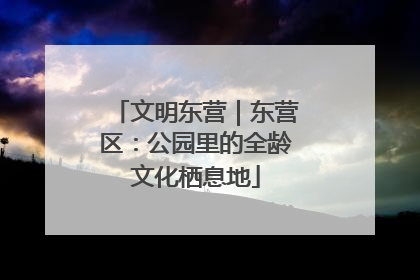文明东营｜东营区：公园里的全龄文化栖息地