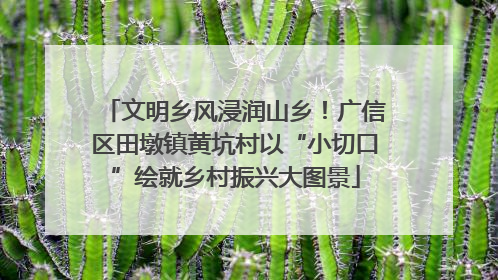文明乡风浸润山乡！广信区田墩镇黄坑村以“小切口”绘就乡村振兴大图景