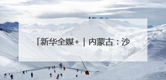 新华全媒+｜内蒙古：沙海之中建“蓝海”(2)