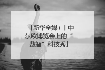 新华全媒+丨中东欧博览会上的“数智”科技秀