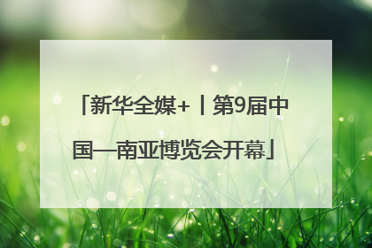 新华全媒+丨第9届中国—南亚博览会开幕