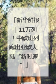 新华鲜报｜11万列！中欧班列跑出亚欧大陆“新时速”