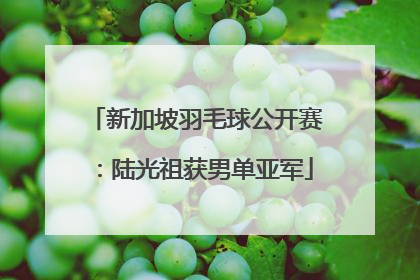 新加坡羽毛球公开赛：陆光祖获男单亚军