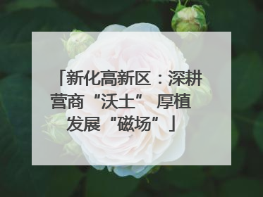 新化高新区：深耕营商“沃土” 厚植发展“磁场”