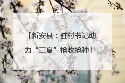 新安县：驻村书记助力“三夏”抢收抢种