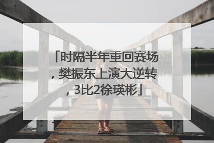 时隔半年重回赛场，樊振东上演大逆转，3比2徐瑛彬
