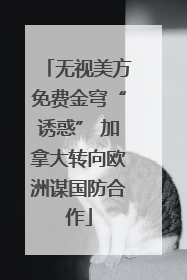 无视美方免费金穹“诱惑” 加拿大转向欧洲谋国防合作