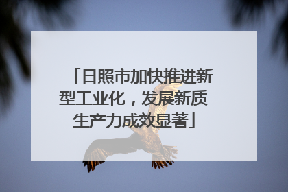 日照市加快推进新型工业化，发展新质生产力成效显著