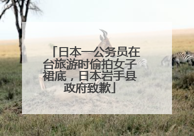 日本一公务员在台旅游时偷拍女子裙底，日本岩手县政府致歉