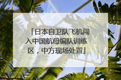 日本自卫队飞机闯入中国航母编队训练区，中方现场处置