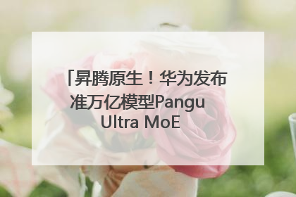昇腾原生！华为发布准万亿模型Pangu Ultra MoE模型架构和训练细节
