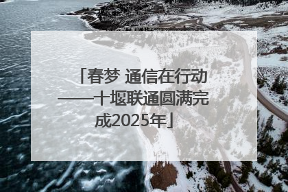 春梦 通信在行动——十堰联通圆满完成2025年