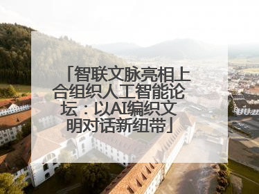 智联文脉亮相上合组织人工智能论坛：以AI编织文明对话新纽带