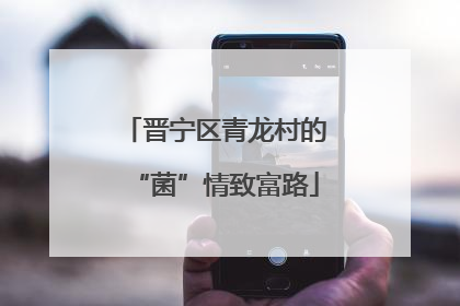 晋宁区青龙村的“菌”情致富路