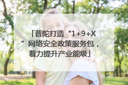 普陀打造“1+9+X”网络安全政策服务包，着力提升产业能级
