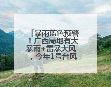 暴雨蓝色预警！广西局地有大暴雨+雷暴大风，今年1号台风最新消息……