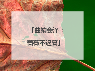 曲靖会泽：蔷薇不迟暮
