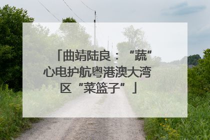 曲靖陆良：“蔬”心电护航粤港澳大湾区“菜篮子”