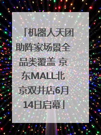 机器人天团助阵家场景全品类覆盖 京东MALL北京双井店6月14日启幕