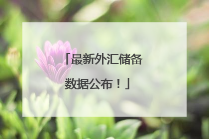 最新外汇储备数据公布！
