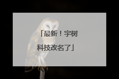 最新！宇树科技改名了