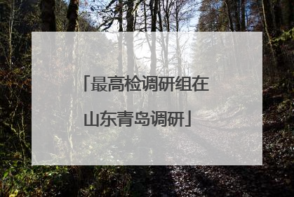 最高检调研组在山东青岛调研