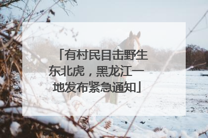有村民目击野生东北虎，黑龙江一地发布紧急通知