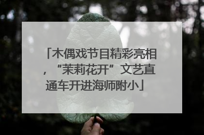 木偶戏节目精彩亮相，“茉莉花开”文艺直通车开进海师附小